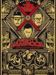 MIGHTY JAM ROCK presents DANCEHALL ROCK 2K10-10th Anniversary- [DVD]　(shin