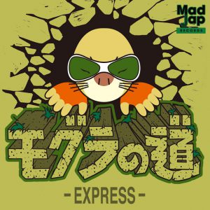もぐらのアルバム ブランケット EXPRESS nihadc.com